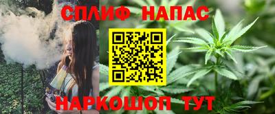 спиды Краснодар